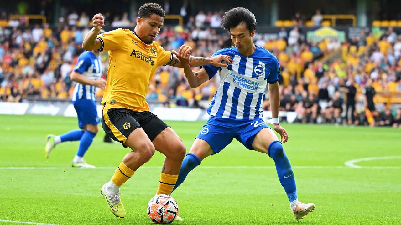 Sự kiện siêu hot Wolves đối đầu Brighton tại FA Cup - Kèo bóng đá, dự đoán tỷ số, lịch sử đối đầu, đội hình ra sân