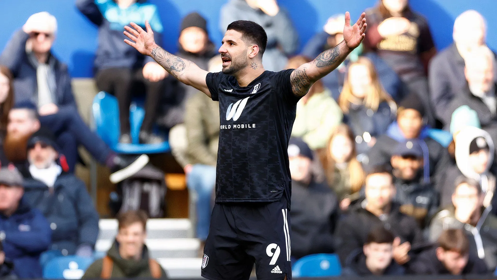 Tiền đạo Aleksandar Mitrovic trong màu áo Fulham, người từng bùng nổ ở Championship