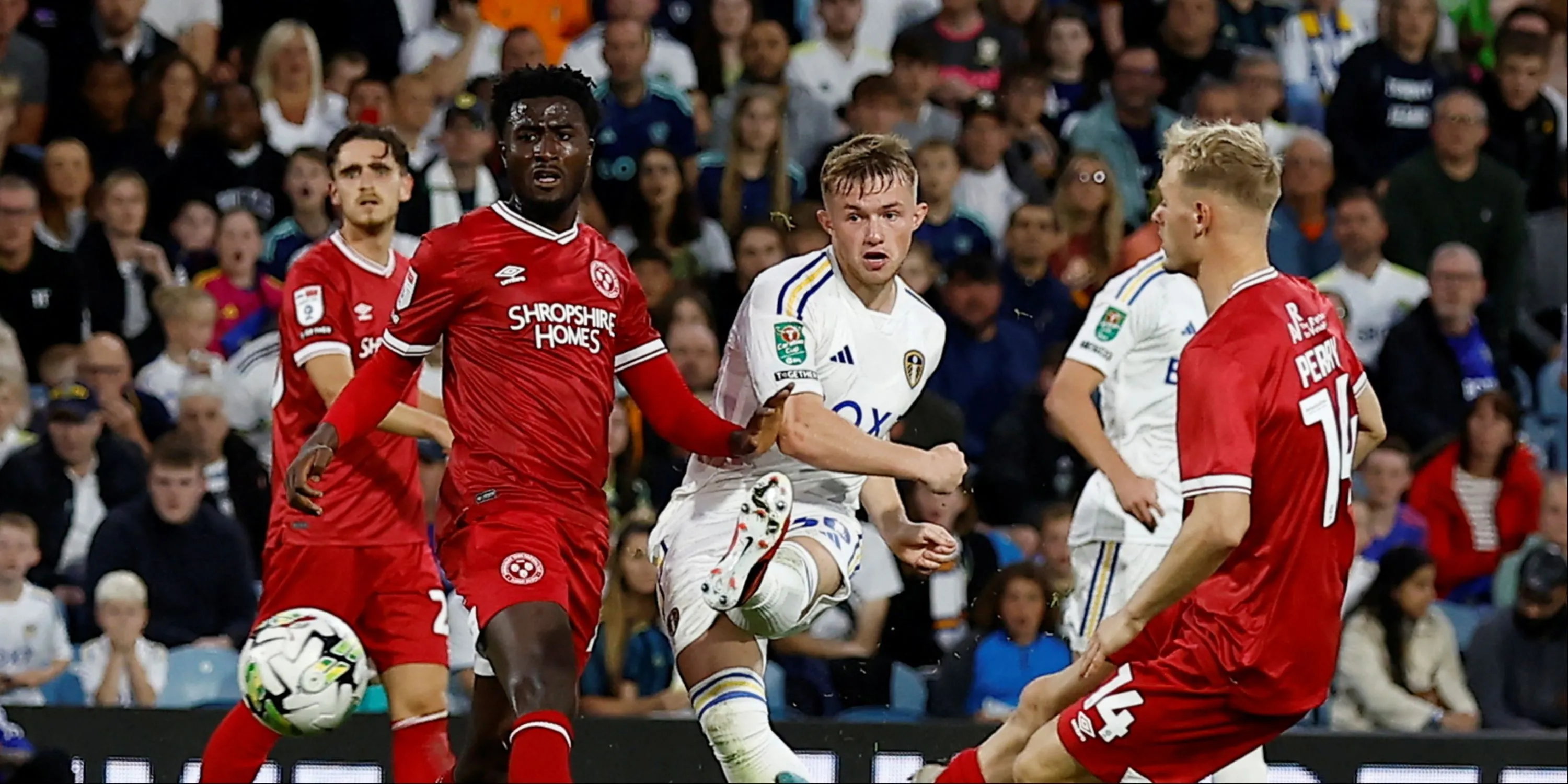 Joe Gelhardt chơi cho Hull City tại Championship